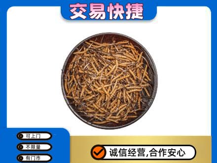 兴化市高价回收散虫草